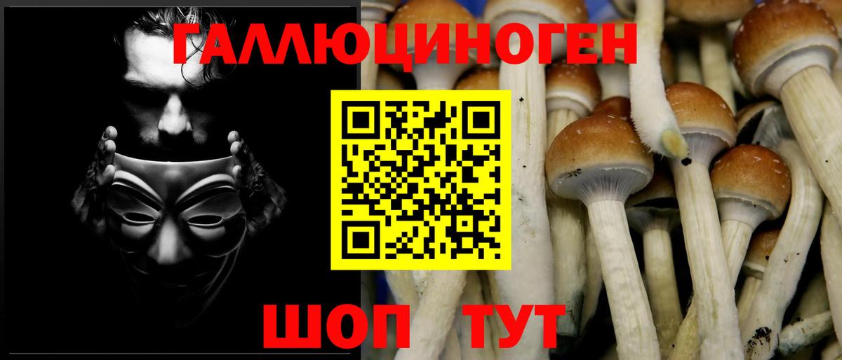 Псилоцибиновые грибы Psilocybine cubensis  Вход с VPN  Алапаевск 